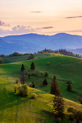 mountainous countryside in springtime at dusk. trees on the rolling hills. ridge in the distance. clouds on the sky. sunny rural landscape of carpathians