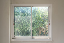 Sliding Glass Window That Looks Out To The Mango Tree.