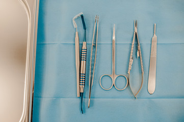 Wall Mural - dental equipment tool kit