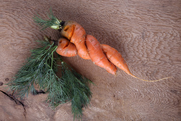 Canvas Print - Funny carrots couple