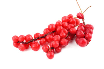 Wall Mural - Schisandra Chinensis isolated on white