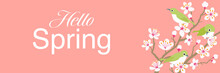 Three Little Birds Perching On Cherry Blossom Twigs, Banner Ratio - Included Words "Hello Spring"