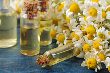 Medicinal chamomile and chamomile extract in a bottle. oil from chamomile flowers. aromatherapy. a drug. on a blue wooden table. close-up