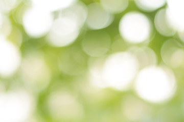 Sticker - abstract green bokeh background