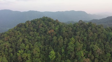 Wall Mural - Aerial footage over jungle wilderness. Rainforest on mountains in Southeast Asia 