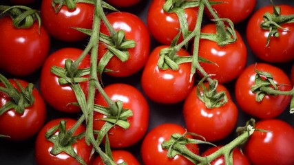 Wall Mural - Cherry tomatoes on rotating background. Top view. Vegan and raw food concept. Bunch of fresh red tomatoes