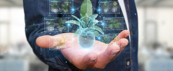 Aufkleber - Man holding and touching holographic projection of a plant with digital analysis 3D rendering