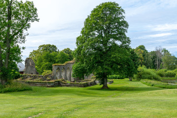 Poster - Summer view of a medieval ruin of a Swedish monastery