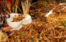 Marketplace with fried insects, grasshoppers and larvae at street food market , Thailand