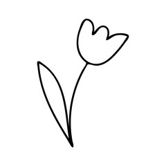 Wall Mural - Doodle flowers contour line drawing.Black and white image.Simple flower isolated on a white background.Vector