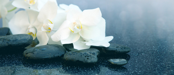 Wall Mural - White orchids flowers and spa stones . Spa background.