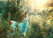 Fairytale Nymph Enjoy Bright Sun In Green Forest. Hairstyle Decorated Blue Flowers Flowing Hair. Fairy In Long Blue Airy Dress Train Fly Wavy. Backdrop Natural Tree Bushes Of Red Roses Divine Sunbeams
