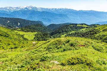 The view from the height of a green mountain valley surrounded by high mountains. Snow-capped mountain peaks on the horizon.