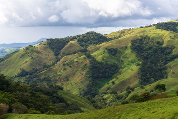 Canvas Print - Paysage Monteverde