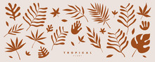 Set Of Exotic Palm Leaves Of Various Shapes And Sizes Vector Illustration On A Light Background. Tropical Plants. Terracotta Color Plant Collection In Flat Style. Elements For Ecological Design.