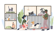 Animal Shelter With Pets In Cages. Man And Woman Volunteers Feeding Animals Cartoon Flat Vector Illustration