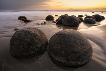 Wall Mural - Moeraki Boulders on Koekohe Beach, Otago, South Island, New Zealand.