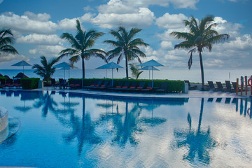 Poster - Palm trees reflected in pool at dawn