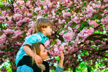 Wall Mural - Happy mother giving shoulder ride on his shoulders in sakura garden. Happy fathers day. Father With Son Having Fun In Park.