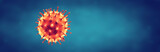 Fototapeta  - Coronavirus or Flu virus - Microbiology And Virology Concept