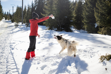 Wall Mural - happy woman and dog playing in fresh snow