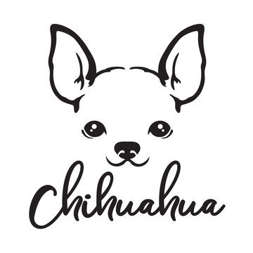 Fototapete - Chihuahua dog face line art sketch vector illustration.