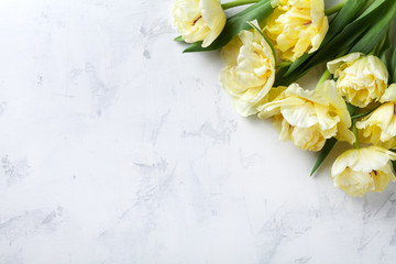 Wall Mural - Beautiful bunch of tulip flowers on white table top view. Flat lay style. Composition for Woman, Mother day.