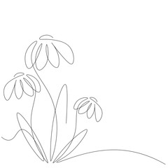 Flowers continuous line drawing contour, vector illustration