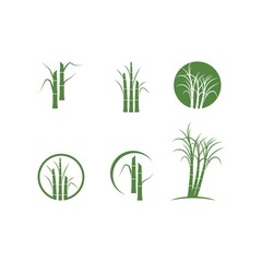 Wall Mural - Sugar cane tree logo