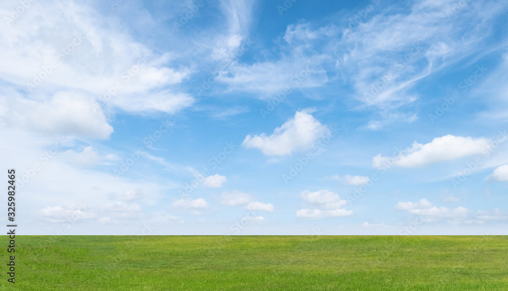 Green grass field and blue sky with white clouds. Beautiful landscape ...