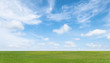© Lifestyle Graphic - Green grass field and blue sky with white clouds. Beautiful landscape background.