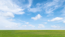 Green Grass Field And Blue Sky With White Clouds. Beautiful Landscape Background.