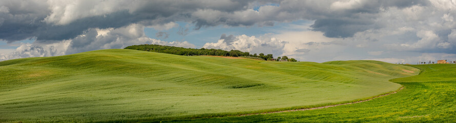 Wall Mural - Tuscany landscape at sunrise. Typical for the region tuscan farm house, hills, vineyard. Italy