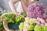 Fototapeta Lawenda - Floral shop concept . Florist woman creates flower arrangement in a wicker basket. Beautiful bouquet of mixed flowers. Handsome fresh bunch. Flowers delivery.