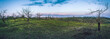 © ghostdom - Spring landscape