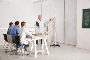 Wall Mural - Medical students and professor studying human skeleton anatomy in classroom