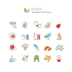 Wall Mural - Set Vector Line Icons of Biology.