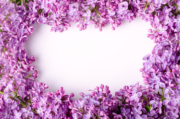 Wall Mural - Beautiful purple lilac flowers. Macro photo of lilac spring flowers. Floral background.