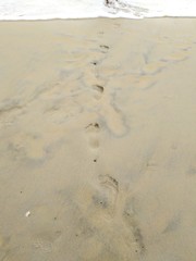 footprints in the sand