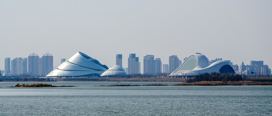 Wall Mural - Harbin Grand Theatre of modern building