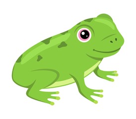 Wall Mural - Cheerful frog cartoon on white background