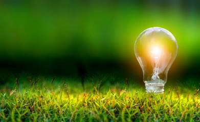 renewable energy concept earth day or environment protection hands protect forests that grow on the 