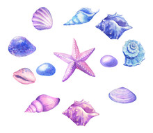  Watercolor Seashells, Starfish In Blue, Pink And Purple Colors.