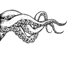 the tentacles on white background