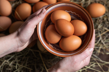 Wall Mural - Bowl with chicken eggs in hands.  Natural Organic Food