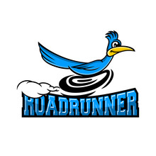 Modern Roadrunner Bird Logo. Vector Illustration.