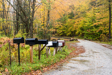 Traditional American Metal Mailboxes Along A Forest Road On A Rainy Autumn Day. Fall Foliage.Vermont, USA.