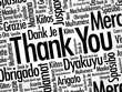 © dizain - Thank You word cloud in different languages, concept background