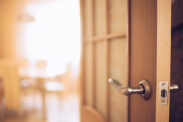 Door end with chrome handle in the room