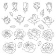 Vector set of roses. Black hand-drawn flowers isolated on white background. Can use for wedding invitations